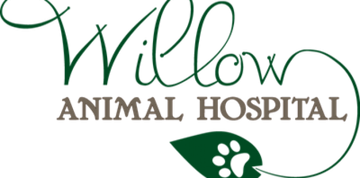 Associate Veterinarian Needed