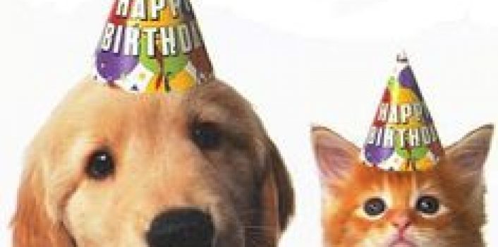 Happy Birthday, Willow Animal Hospital!!