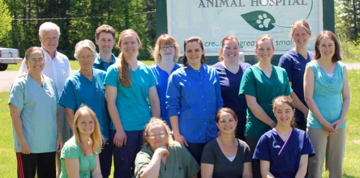 Job Opening:  Associate Veterinarian -- POSITION FILLED